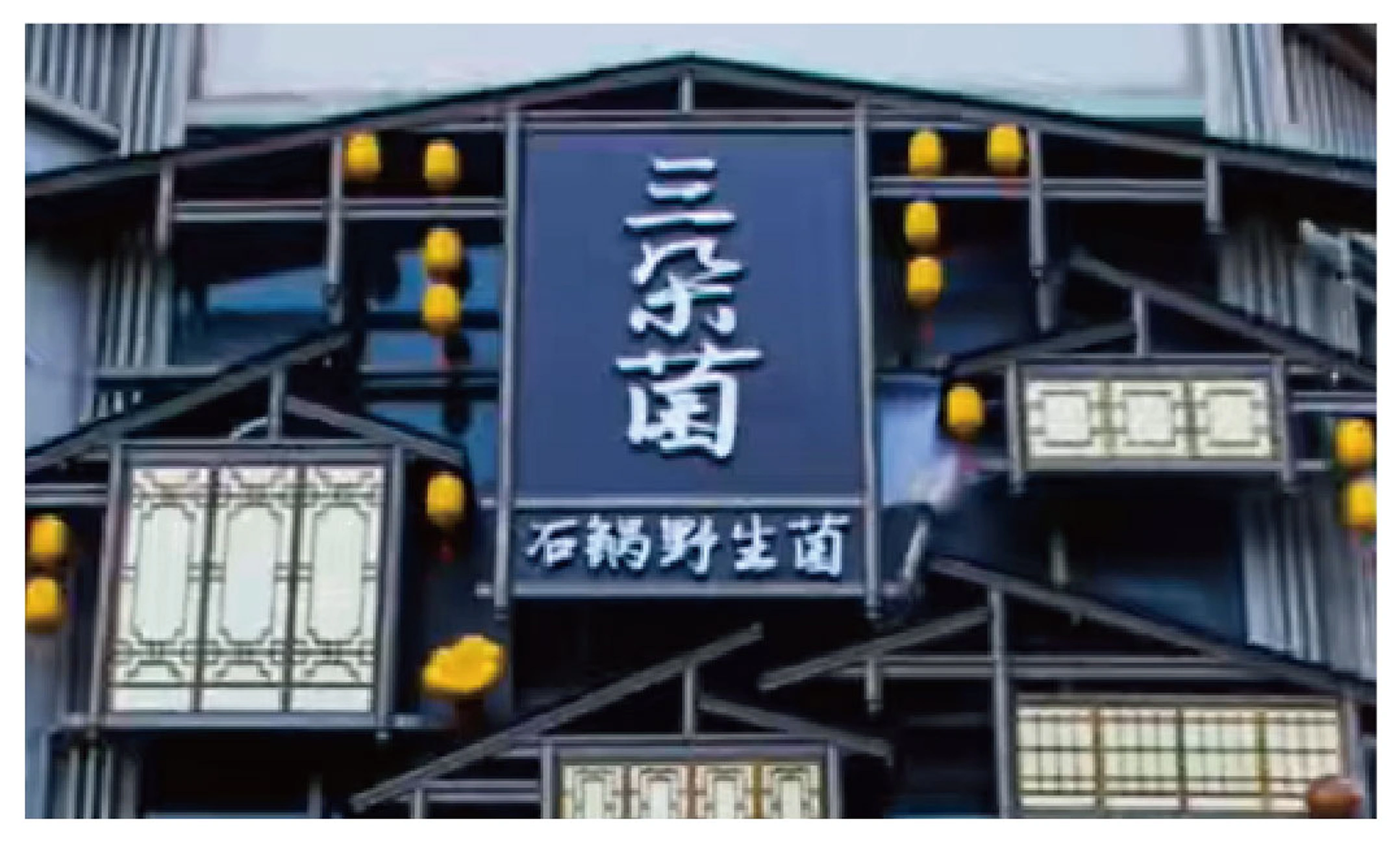 项目视觉资料 12
