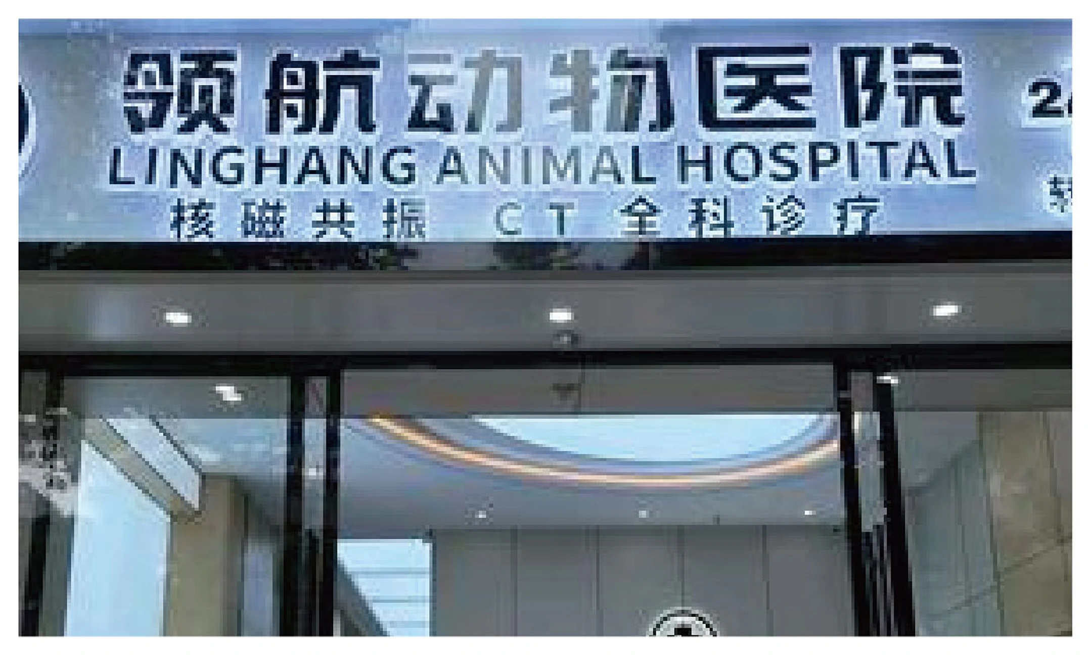 项目视觉资料 13